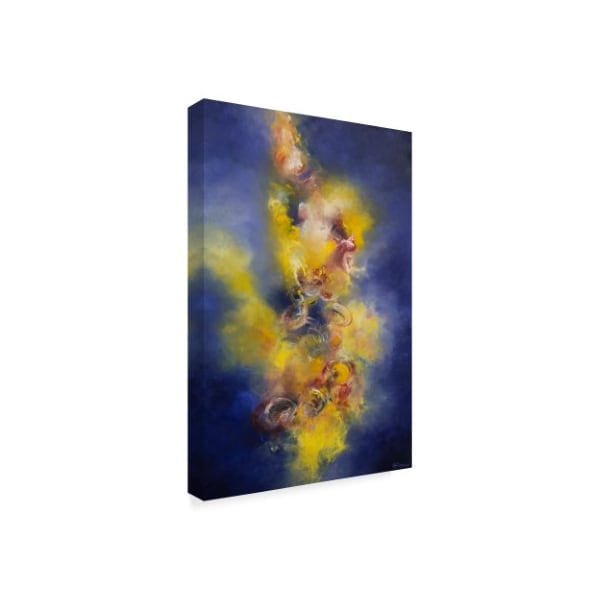 Aleta Pippin 'Radiance' Canvas Art,30x47